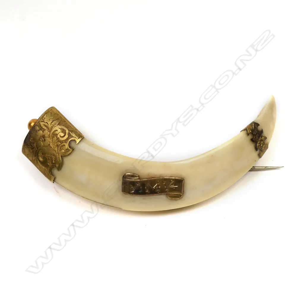 C. M. Page (Auckland) 15ct gold mounted tusk brooch, Image 1++